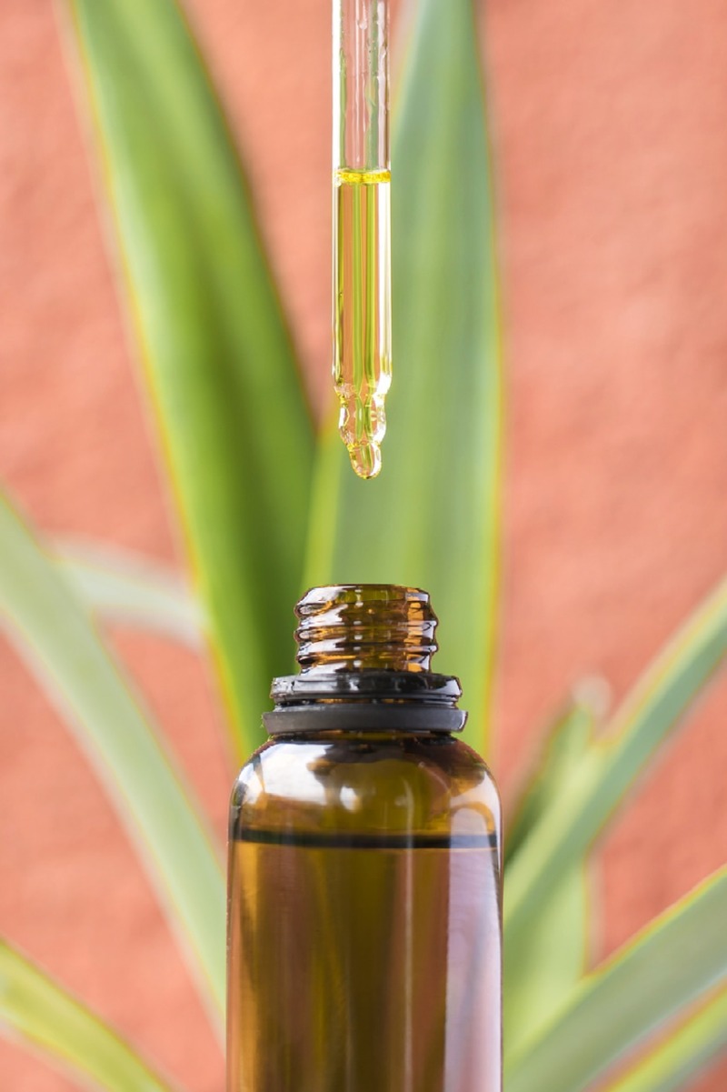 cbd-oil-5358405_1280.jpg